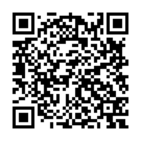 QR code for plate NLB 833