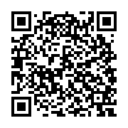 QR code for NLF 300