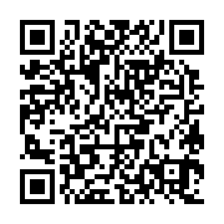 QR code for NLG 381