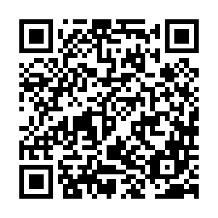 QR code for plate NLH 046