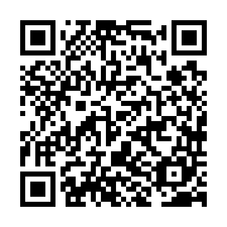 QR code for plate NLH 745
