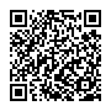 QR code for plate NLK 665