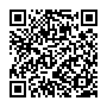 QR code for plate NLM 523