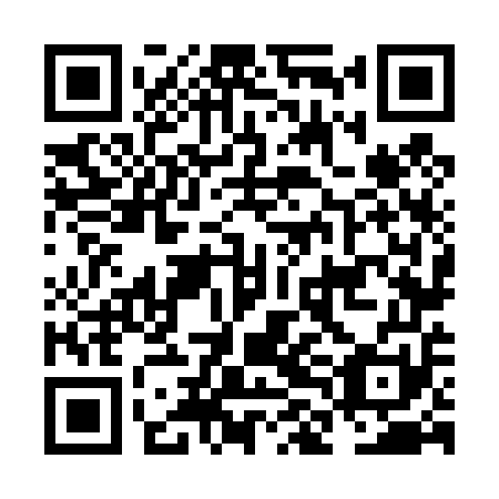 QR code for plate NLN 451