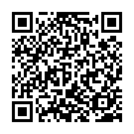 QR code for NLO 500