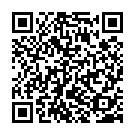 QR code for NLO 578