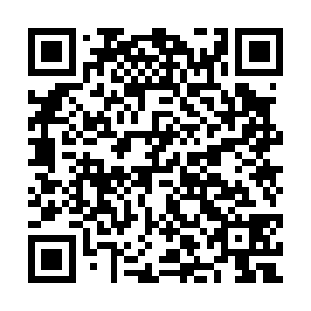 QR code for plate NLO 038