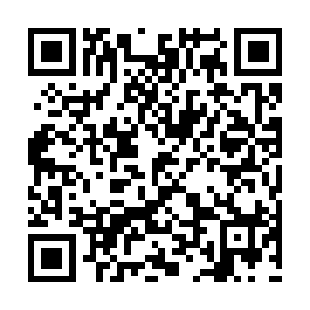QR code for NLO398
