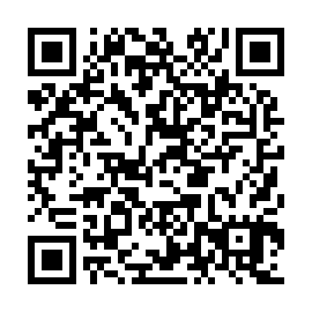 QR code for NLP 905