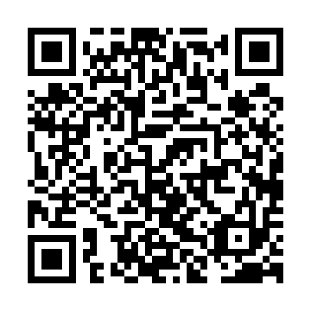 QR code for plate NLP 513