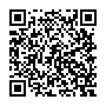 QR code for NLQ 196
