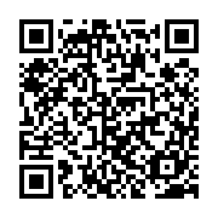 QR code for plate NLQ 565