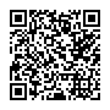QR code for plate NLR 208