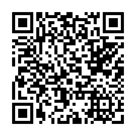 QR code for plate NLS 676