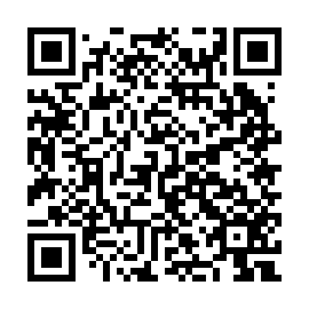 QR code for plate NLU 256