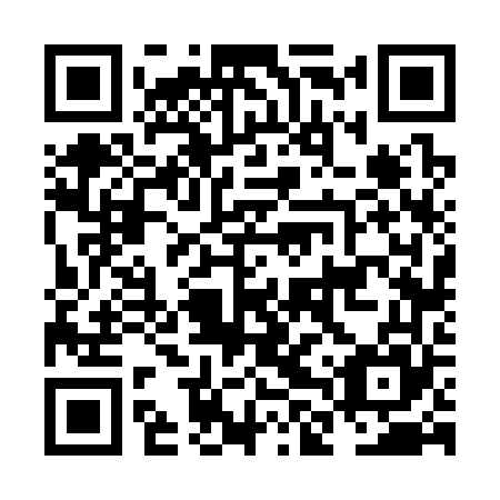 QR code for plate NLV 365