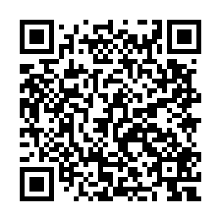 QR code for plate NLY 509