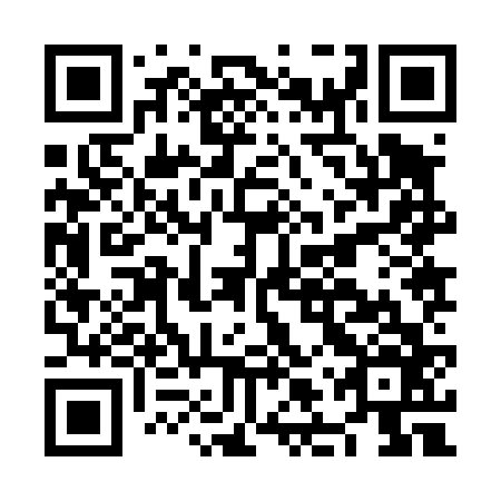 QR code for NLZ 466
