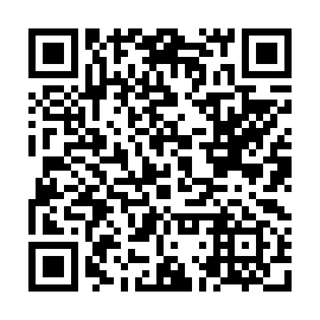 QR code for NLZ 699