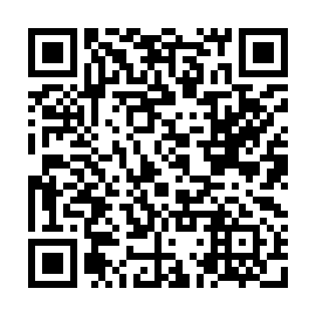 QR code for NLZ 991