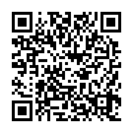 QR code for NM 0338