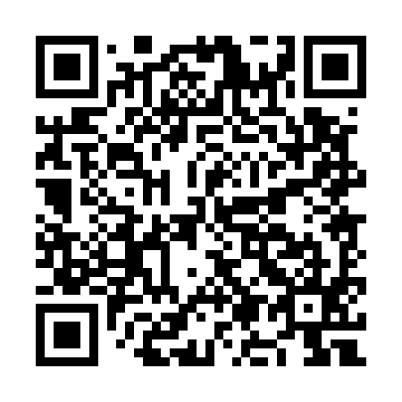 QR code for NM 0595