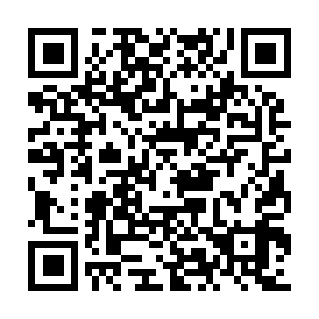 QR code for NM 3919