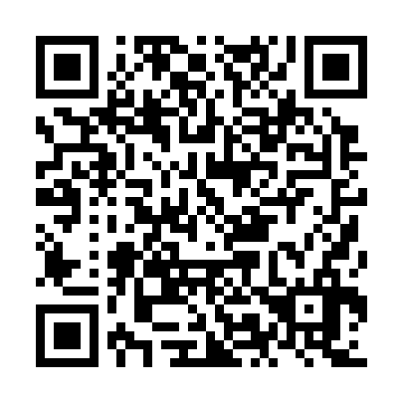 QR code for NM0336
