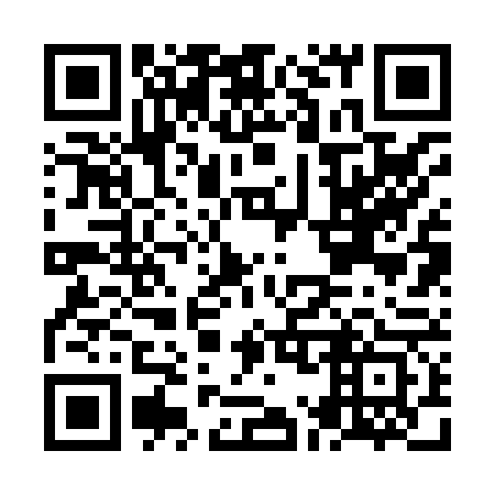 QR code for plate NM 2863