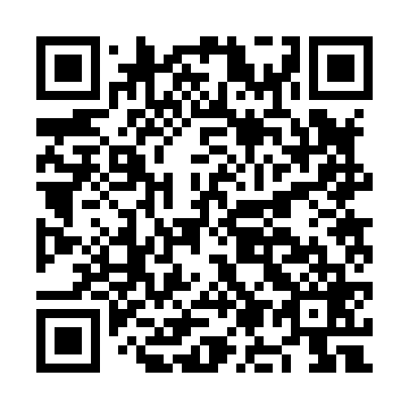 QR code for plate NM 2869