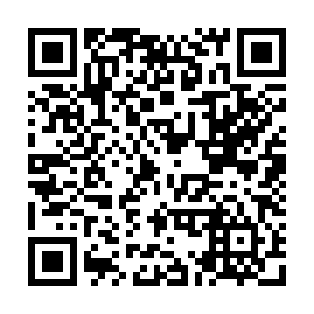 QR code for NM3384