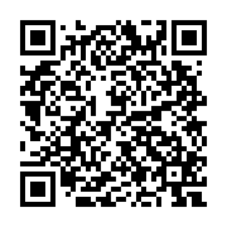 QR code for plate NM 3705