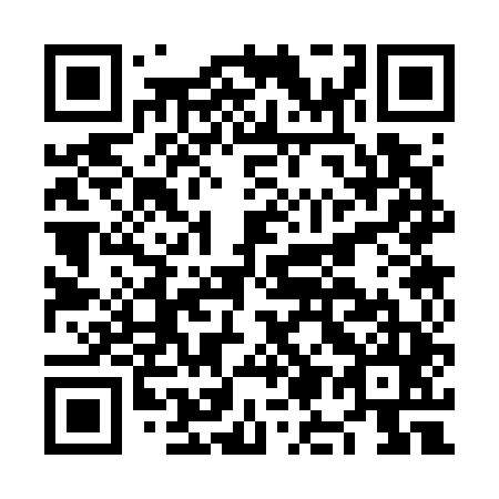 QR code for plate NM 3745