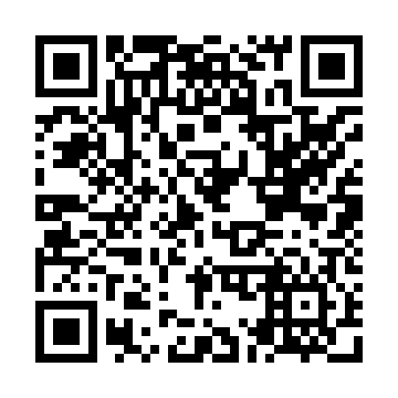 QR code for plate NM 3806