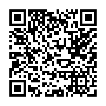 QR code for plate NM 4807