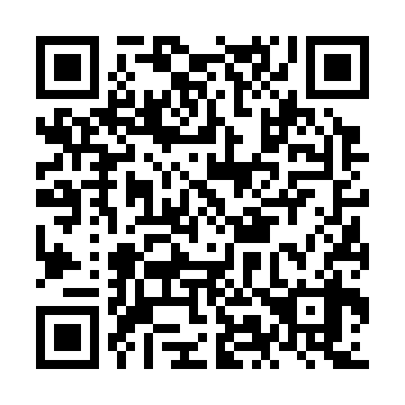 QR code for plate NM 6338