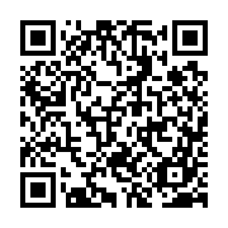 QR code for plate NM 6767