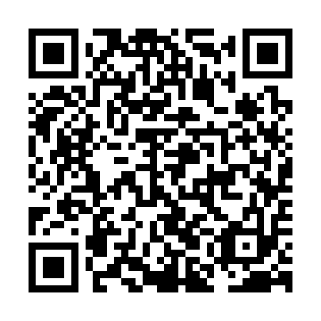 QR code for NMC 313