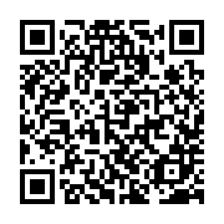 QR code for NMF 382
