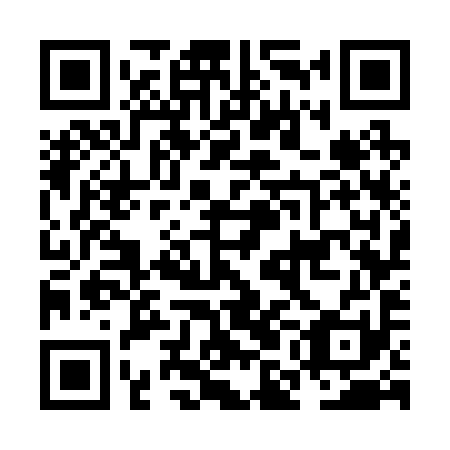 QR code for NMG 291