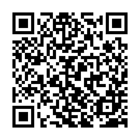 QR code for NMG 382