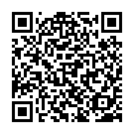 QR code for plate NMG 298