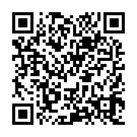 QR code for plate NMJ 919