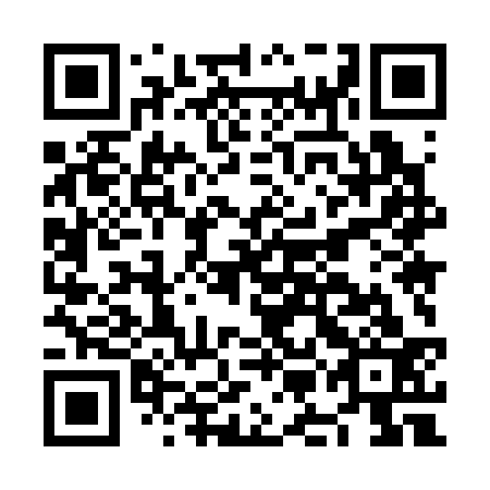 QR code for NMM 333
