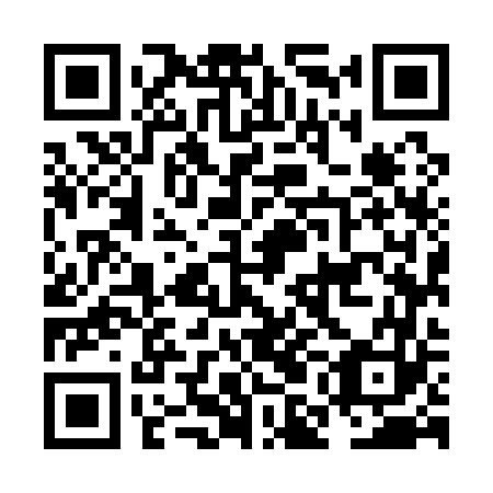 QR code for plate NMM 163