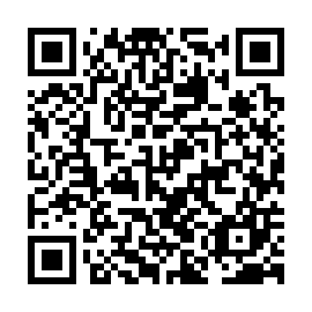 QR code for plate NMM 307