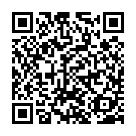 QR code for plate NMR 509