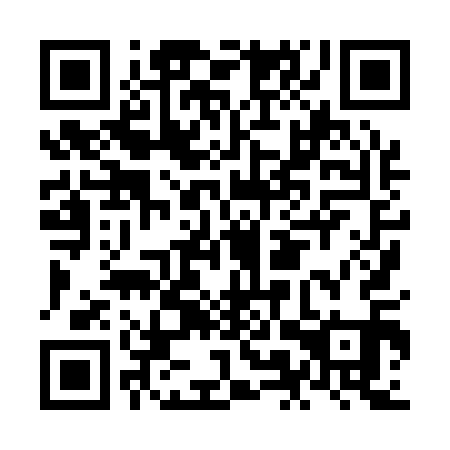 QR code for plate NMX 111
