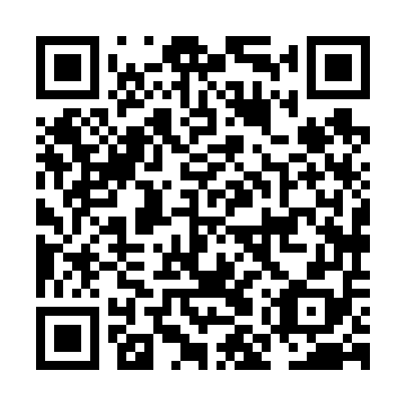 QR code for plate NMX 658