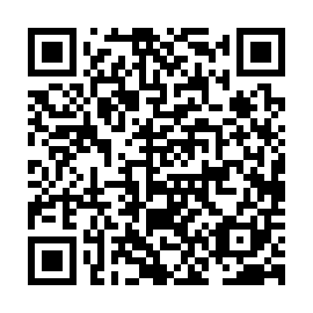 QR code for NN 0301